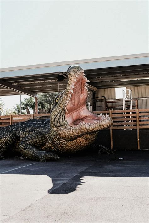 A Life Size Statue of Crocodile · Free Stock Photo