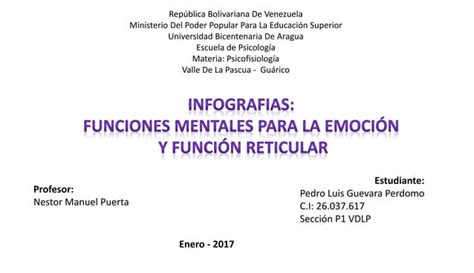 Infografias Funciones Mentales Para La Emocion Y Funcion Reticular