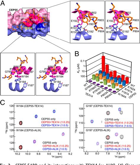 Figure 2 From Structural And Biochemical Insights Into The Role Of