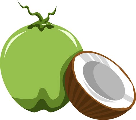 Clipart Of A Coconut