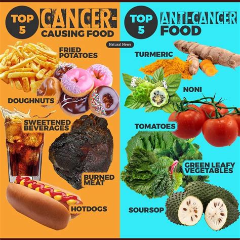 Foods Not To Eat To Avoid Cancer At Annmarie Palma Blog