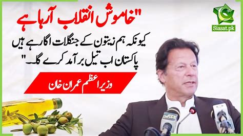 The Nation Must Join In The Spring Tree Plantation Drive Pm Imran