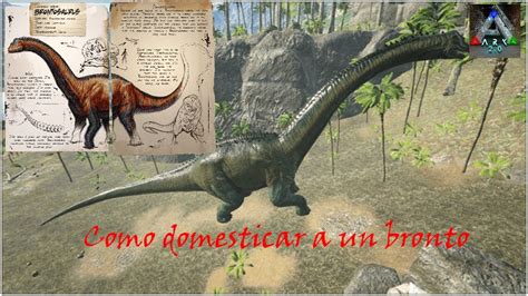 Como domesticar a él Brontosaurio en ark mobile fácil bonito y