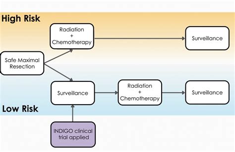 Neuro Oncology Outlook Advancements In Targeted Molecular Therapy For