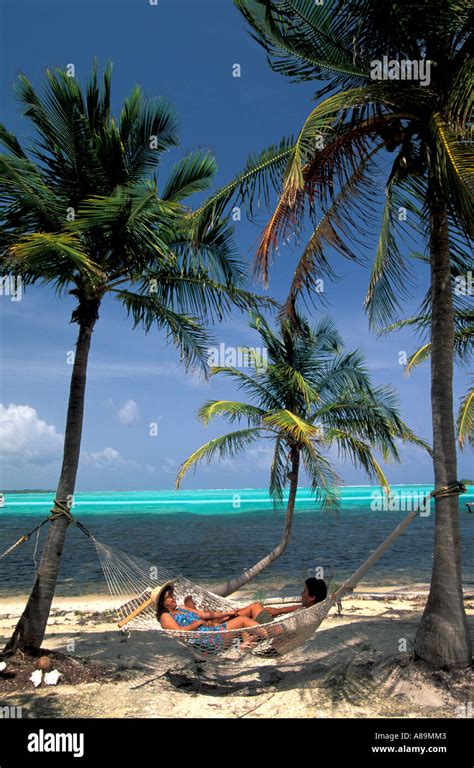 Tropics Tropical Couple In Hammock Palm Trees Beside Blue Green Water