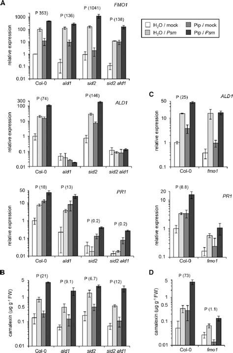 Exogenous Pip Confers Defense Priming In A Fmo Dependent And Partially