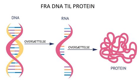 Mutation Netdoktor