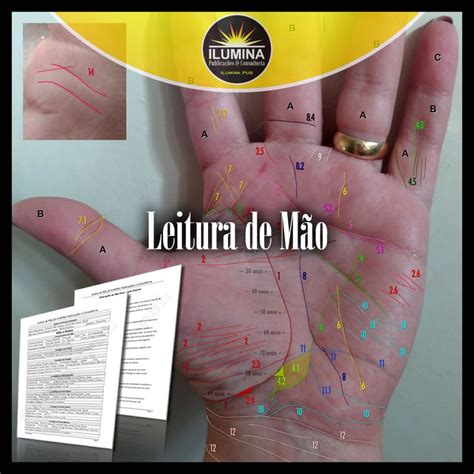 Leitura De Mão Completa Por Quiromante Chris ☀ Iluminapub Publicações E Consultoria Para O