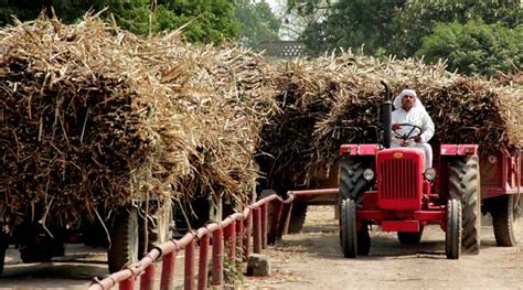 At End Of Sugar Season Arrears To Cane Farmers Lowest In Years