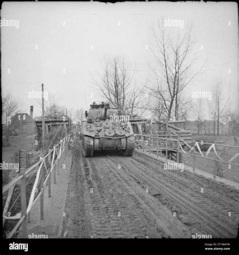 The British Army In North West Europe 1944 45 Sherman Tanks Of Guards