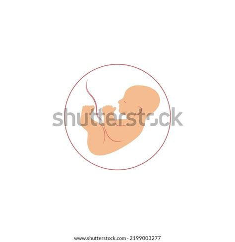 Baby Womb Pregnancy Concept Fetus Symbol Stock Vector Royalty Free