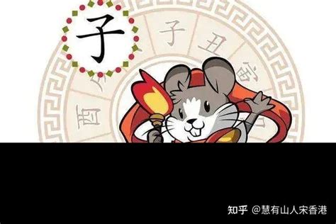 属鼠2023年运势详解 知乎