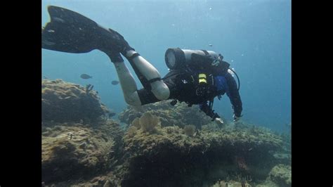 Pompano Beach Fl Copenhagen Wreck And Nursery Reef Scuba Dive Youtube