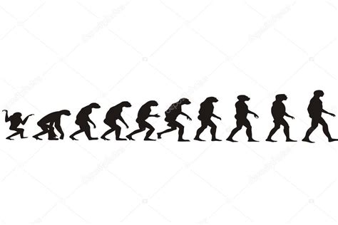 Human Evolution Stock Vector Image By Goceristeski 2275215