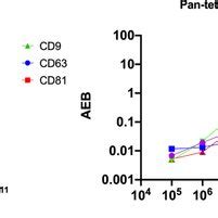 SiMoA Results Of Immunephenotyping Of The CPCs Derived EVs Sample