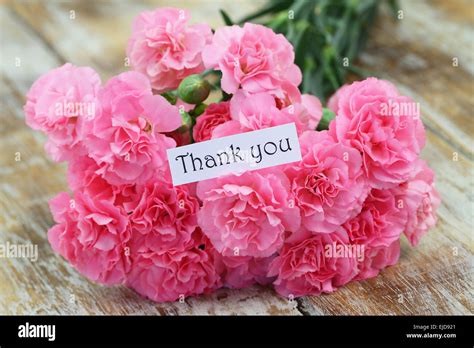 Thank You Card With Pink Carnation Flowers Stock Photo Alamy