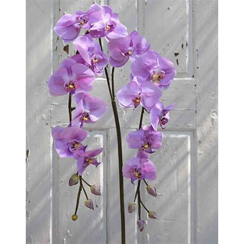 Acheter des Tige d orchidée Phalaenopsis en tissu PHILLINE rose 150cm