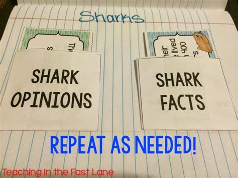 Shark Week Blog Hop And Freebie