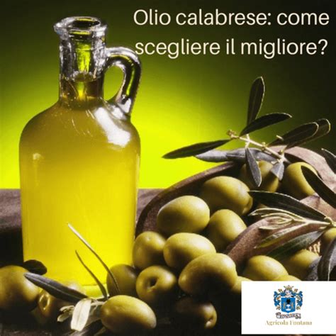 Olio Calabrese Le Regole Fondamentali Per Scegliere Il Migliore