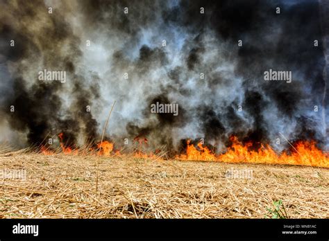 Agricultural Pollution Stock Photos Agricultural Pollution Stock