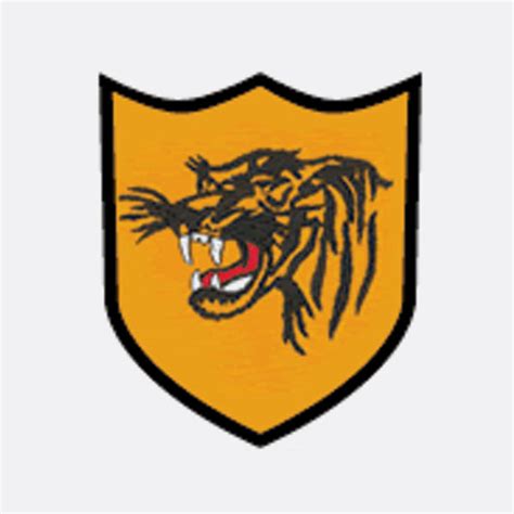 Hull City Badge : Hull City : (matchday badges played against aston villa).