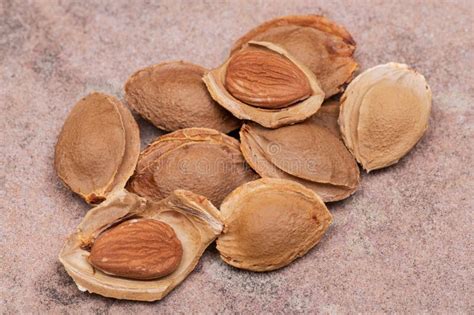 Dried Apricot Kernels The Seed Of An Apricot Often Called A Stone On