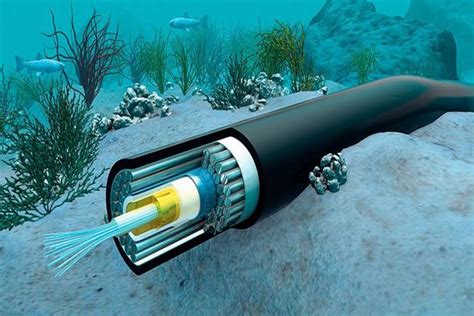 Agora Oficial Cabo Submarino De Fibra Ptica Que Liga Brasil