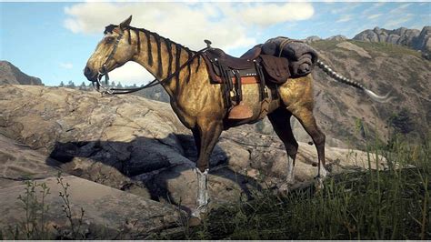red dead redemption         turkoman