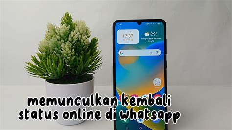 Cara Memunculkan Kembali Status Online Di Whatsapp YouTube