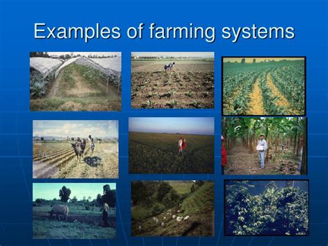 Ppt Agricultural Systems And Their Determinants Powerpoint