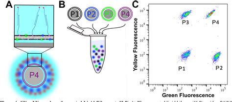 Figure From A Microsphere Supported Lipid Bilayer Platform For Dna