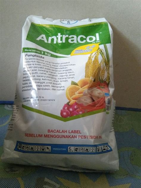 Fungisida Antracol 70 WP 1 Kg Lazada Indonesia