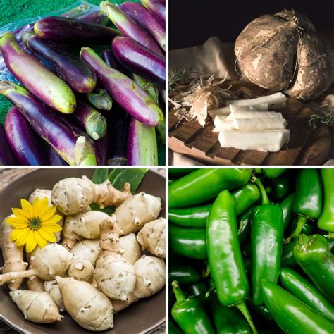 vegetables  start     world