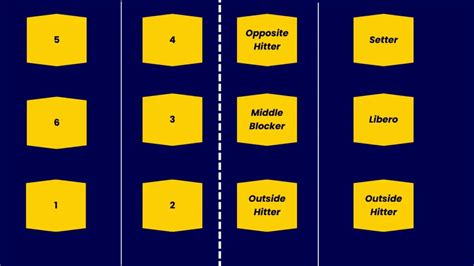 Volleyball Positions 101: A Comprehensive Guide