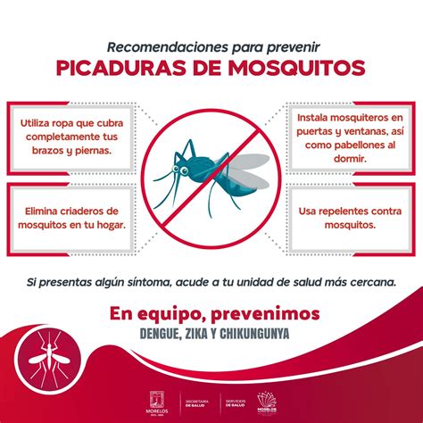 Pide SSM Fortalecer Acciones Contra Dengue Zika Y Chikungunya Zona