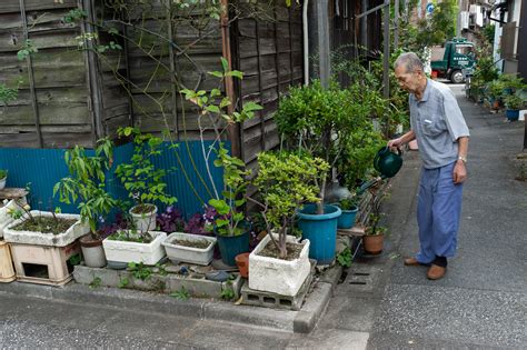 Before and after photos of an urban Tokyo garden and its elderly gardeners — Tokyo Times