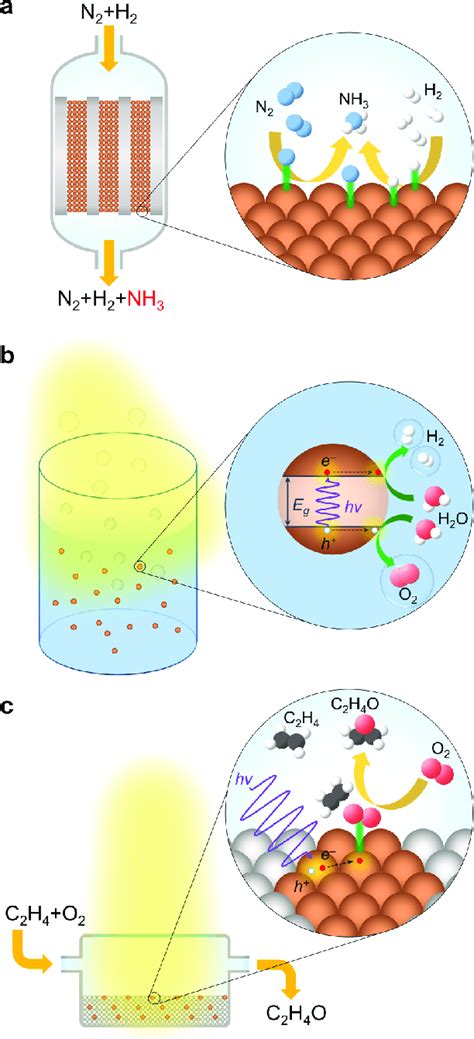 Schematic Illustration Of Representative Catalytic Processes A