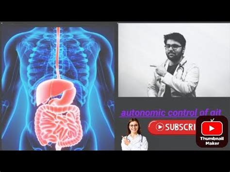 Autonomic Control Of Git Physiology Part Anatomy By Mbbs In Second