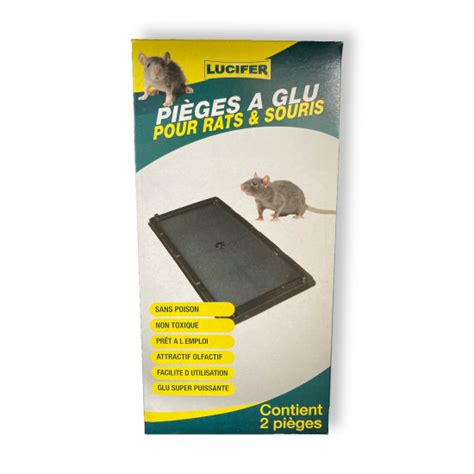 Pieges A Glu Pour Rats Et Souris Contient Pi Ges L Expert Des