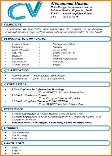 Cv Format Word Cv Template Resume Template For Ms Word Professional