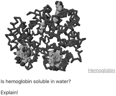 Solved Hemoglobin Is Hemoglobin Soluble In Water Explain