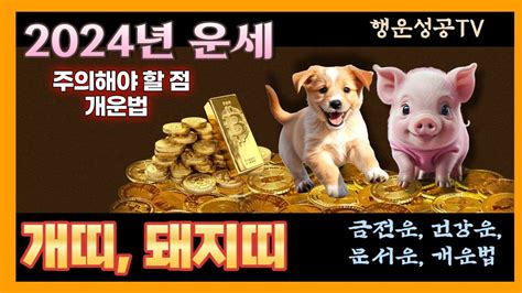 2024년 띠별운세 🐶개띠 운세 🐷돼지띠운세 갑진년 재물운 금전운 건강운 조심할점 좋은 방향 개운법 Youtube