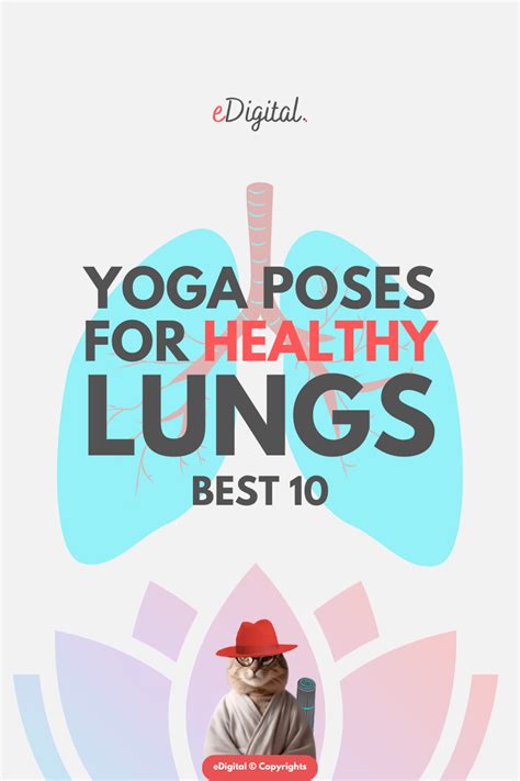 THE BEST 10 YOGA EXERCISES FOR LUNGS - eDigital Agency