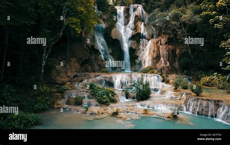 Rainforest waterfall bird hi-res stock photography and images - Alamy