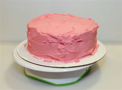 Mint Chocolate Chip Ice Cream Cake Recipe | ThriftyFun