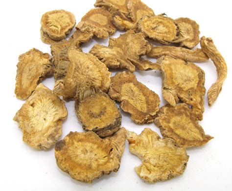 Divaricate Saposhnikovia Root Tcm Herbs Tcm Wiki