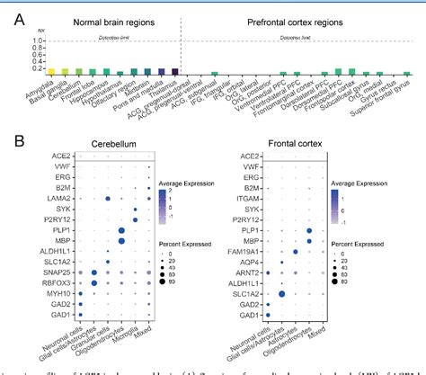 [PDF] Protein Expression Profile of ACE2 in the Normal and COVID-19 ...