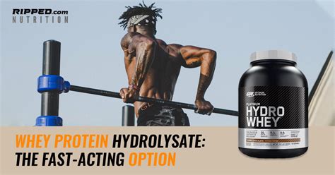 Whey Protein Hydrolysate: The Fast-Acting Option – Ripped.com