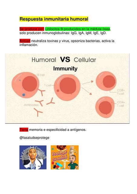 Respuesta Inmunitaria Humoral Lasaludseprotege UDocz
