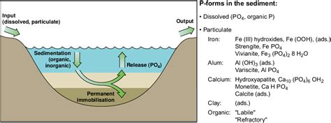 Figure 8 From Retention And Internal Loading Of Phosphorus In Shallow Eutrophic Lakes